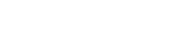 Portfolio Logo